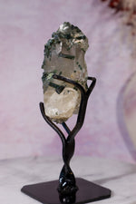 Green Tourmaline in Smokey Quartz on Stand 12cm, Brazil Specimen Tali & Loz Crystals