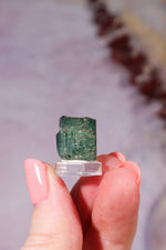 Green Tourmaline (Verdelite) | 14 × 13 × 11mm | Brazil Mineral Specimen Tali & Loz Crystals