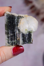 Green Tourmaline With Cleavelandite 4cm, Pakistan Minerals Tali & Loz Crystals