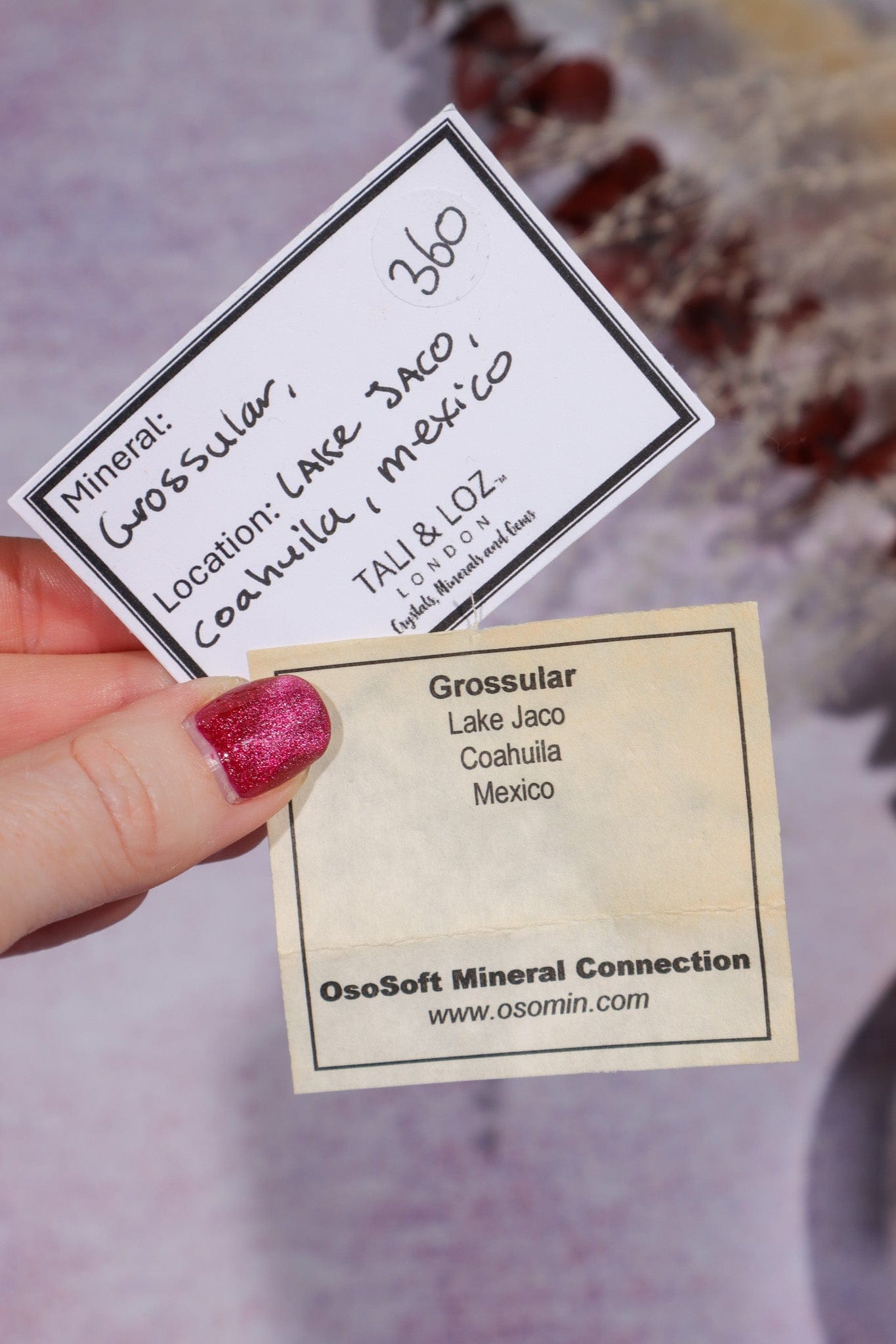 Grossular Garnet Specimen 81gr, Mexico Specimen Tali & Loz Crystals