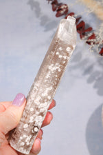 Gypsum With Iron Inclusions 15cm Specimen Tali & Loz Crystals