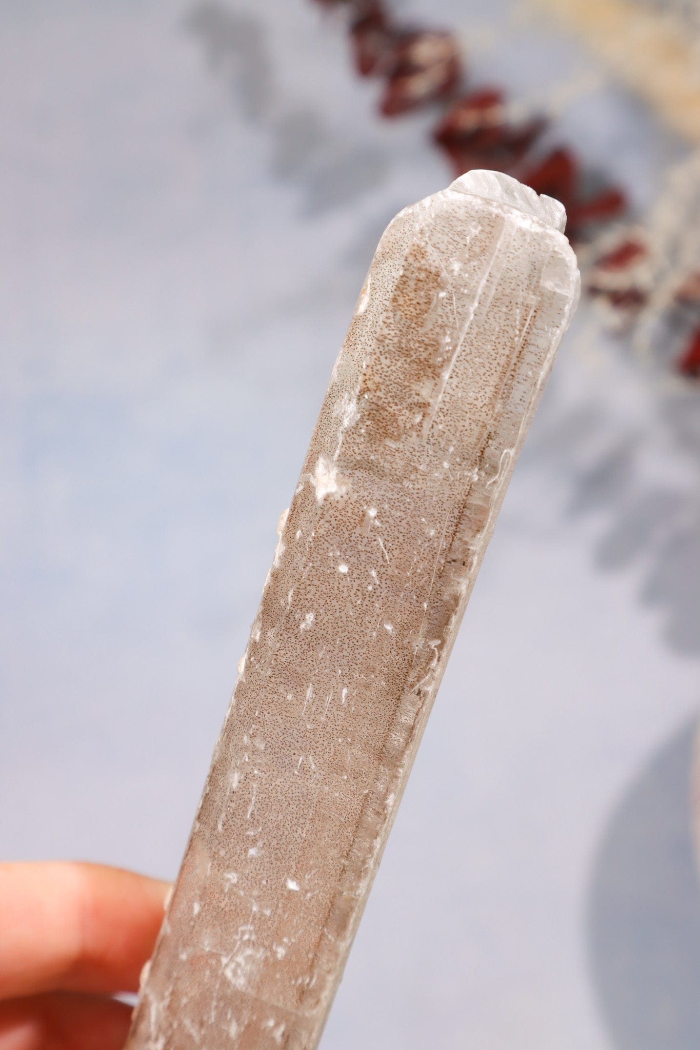 Gypsum With Iron Inclusions 15cm Specimen Tali & Loz Crystals