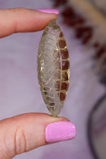 Hand Carved Citrine | 13.8g | India | Sold as Seen Carving Tali & Loz Crystals