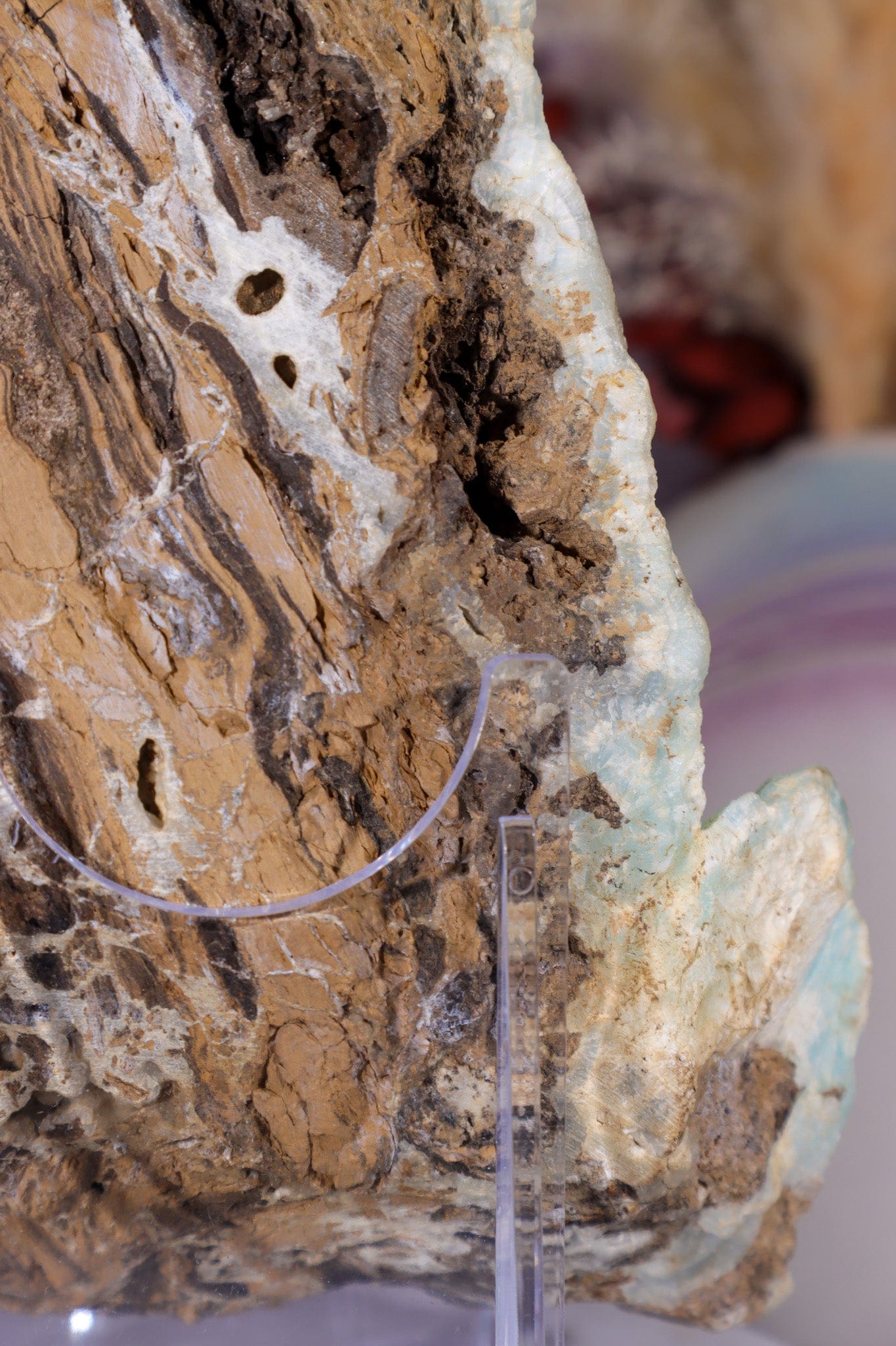 Hemimorphite Specimen 1.2KG Specimen Tali & Loz Crystals