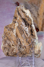 Hemimorphite Specimen 1.2KG Specimen Tali & Loz Crystals