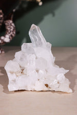 Himalayan Samadhi Quartz Cluster 0.18kg - Tali & Loz Crystals