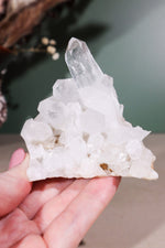 Himalayan Samadhi Quartz Cluster 0.18kg - Tali & Loz Crystals