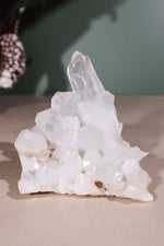 Himalayan Samadhi Quartz Cluster 0.18kg - Tali & Loz Crystals
