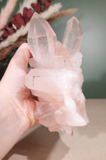 Himalayan Samadhi Quartz Cluster 0.9kg - Tali & Loz Crystals