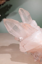 Himalayan Samadhi Quartz Cluster 0.9kg - Tali & Loz Crystals