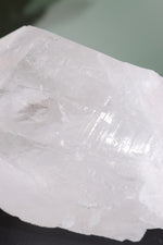 Himalayan Samadhi Quartz Point 1.9kg - Tali & Loz Crystals