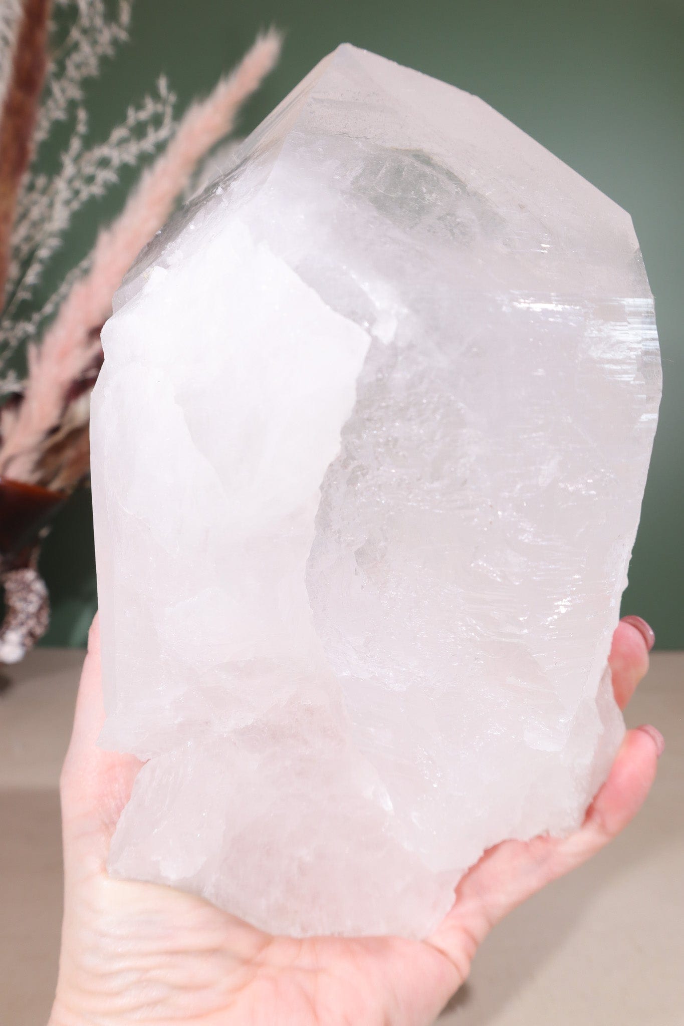 Himalayan Samadhi Quartz Point 1.9kg - Tali & Loz Crystals