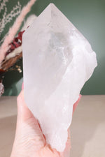 Himalayan Samadhi Quartz Point 1.9kg - Tali & Loz Crystals