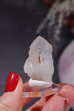 Hollandite In Quartz Specimen 14.6gr Specimen Tali & Loz Crystals