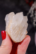 Hollandite In Quartz Specimen 54gr Specimen Tali & Loz Crystals
