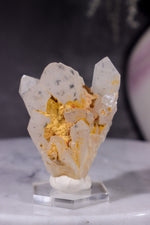 Hollandite In Quartz Specimen 54gr Specimen Tali & Loz Crystals