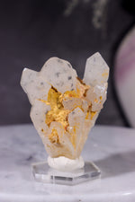 Hollandite In Quartz Specimen 54gr Specimen Tali & Loz Crystals