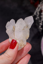 Hollandite In Quartz Specimen 59gr Specimen Tali & Loz Crystals
