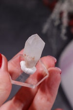 Hollandite In Quartz Specimen 6.14gr Specimen Tali & Loz Crystals