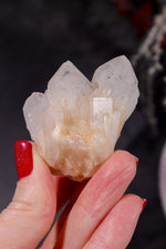 Hollandite In Quartz Specimen 60gr Specimen Tali & Loz Crystals