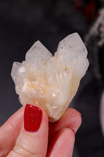 Hollandite In Quartz Specimen 60gr Specimen Tali & Loz Crystals