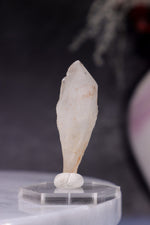 Hollandite In Quartz Specimen 8gr Specimen Tali & Loz Crystals