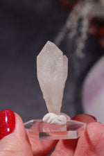 Hollandite In Quartz Specimen 8gr Specimen Tali & Loz Crystals