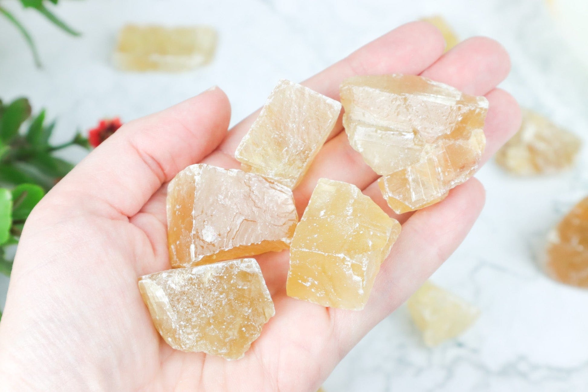Honey Calcite Rough Pieces - Calming/Grounding Rough Crystals Tali & Loz