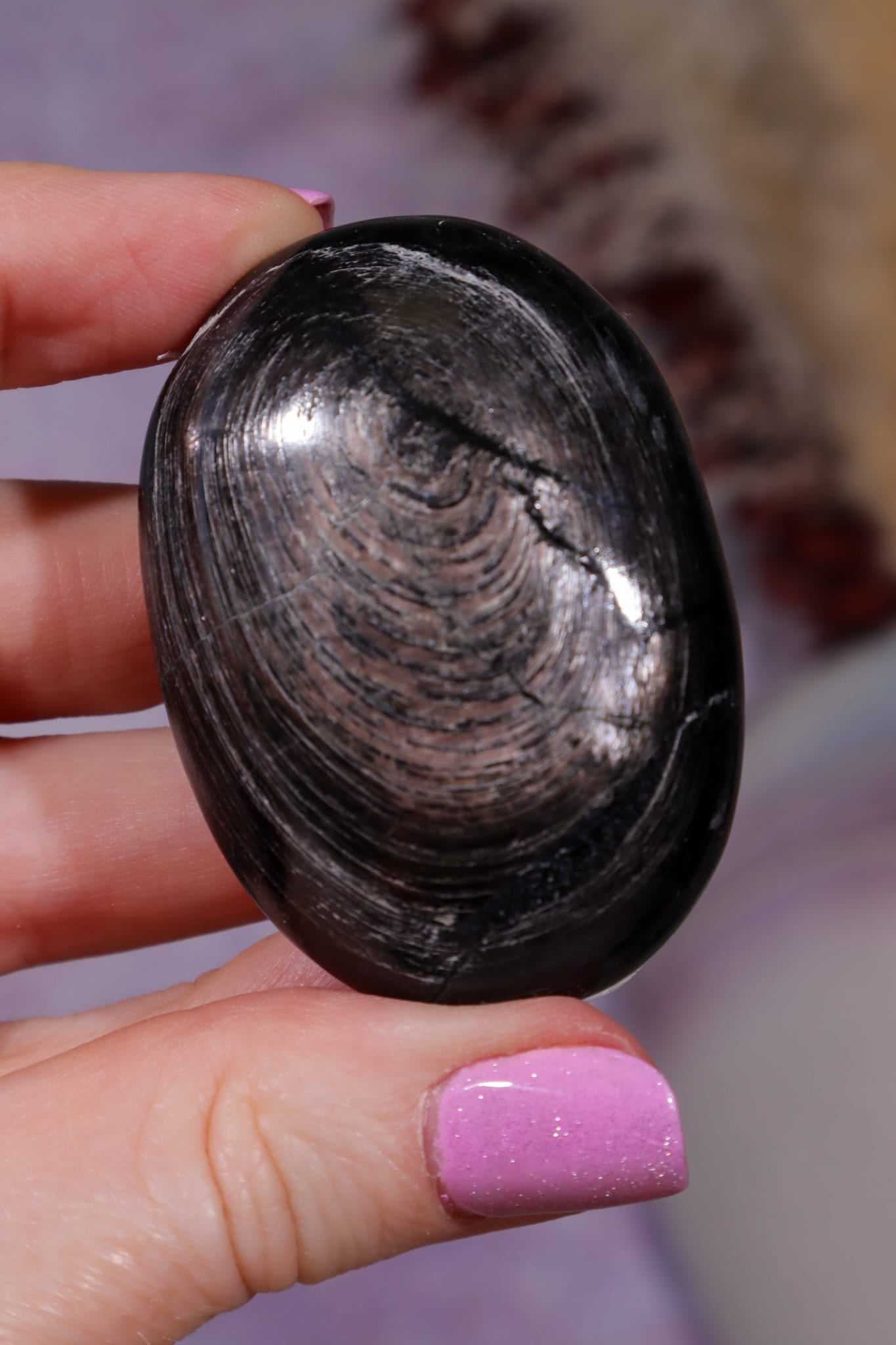 Hypersthene Palmstones | 4.5cm | India Palmstones Tali & Loz Crystals