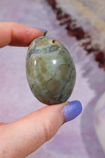 Ibis Jasper Palm stones | Intuitively Chosen Palm Stones Tali & Loz Crystals