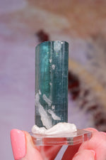 Indicolite Blue Tourmaline | Crystal | 45mm | Brazil Minerals Tali & Loz Crystals