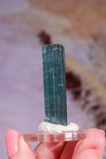 Indicolite Blue Tourmaline | Crystal | 45mm | Brazil Minerals Tali & Loz Crystals