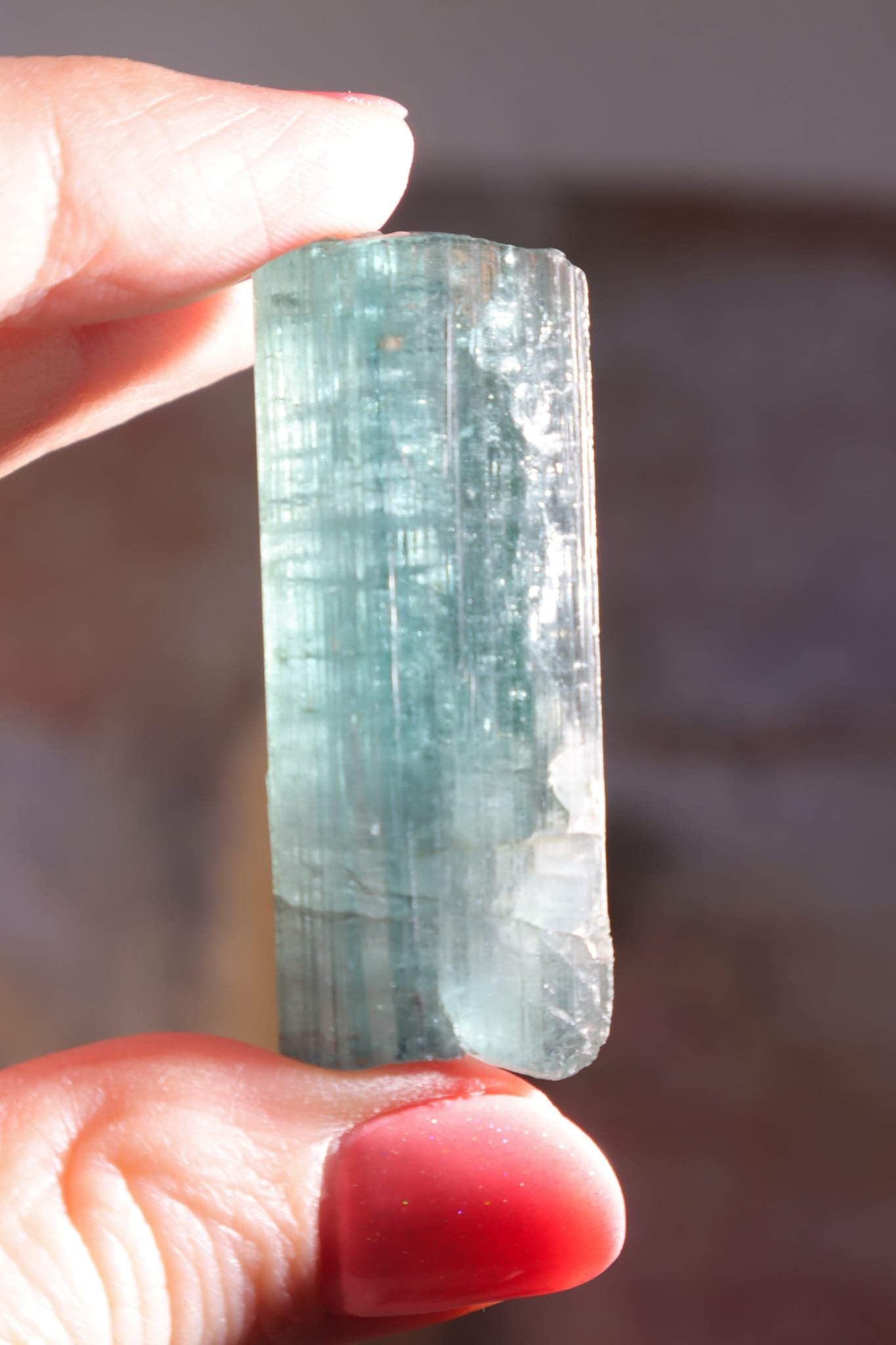 Indicolite Blue Tourmaline | Crystal | 45mm | Brazil Minerals Tali & Loz Crystals