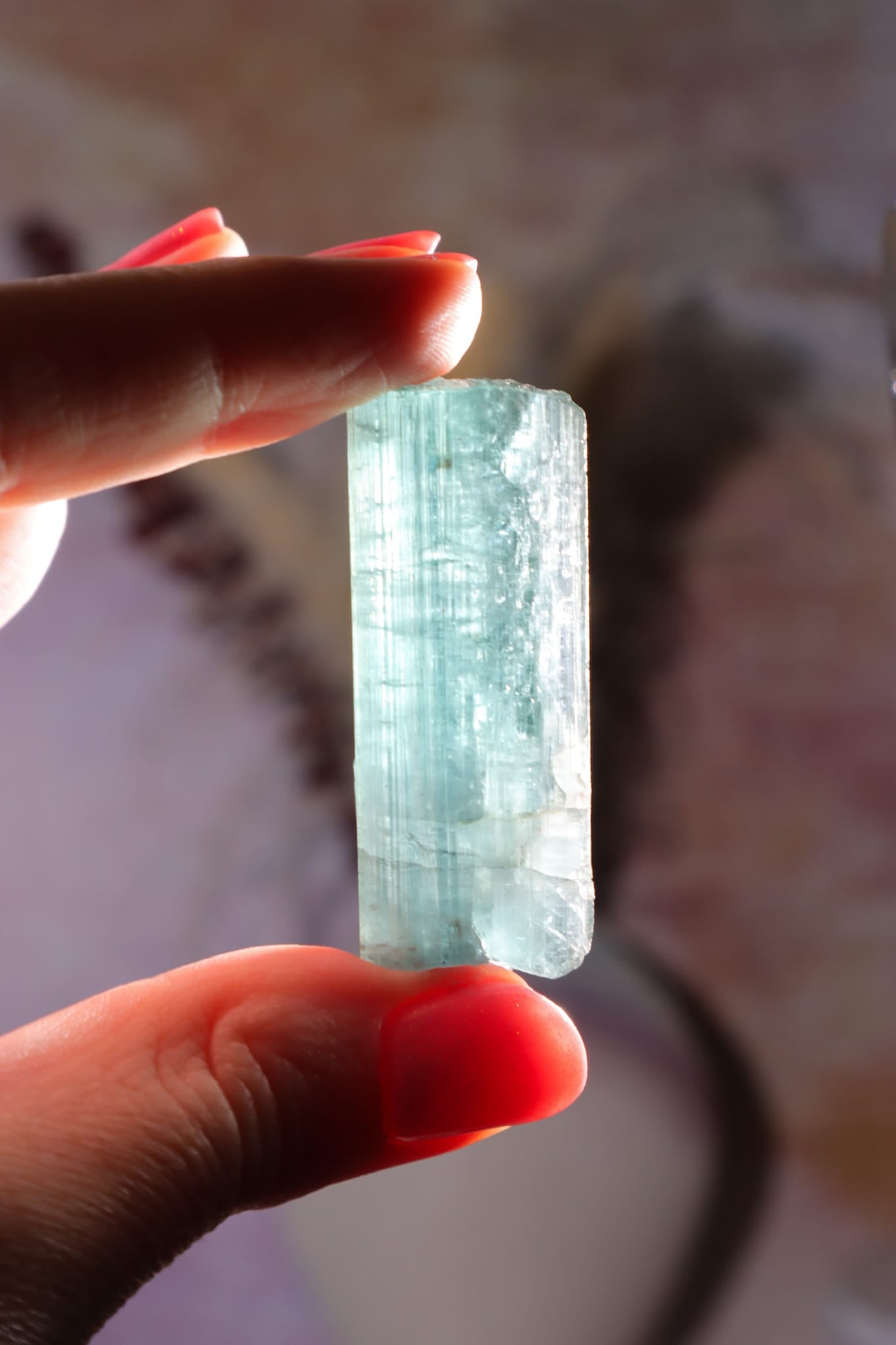 Indicolite Blue Tourmaline | Crystal | 45mm | Brazil Minerals Tali & Loz Crystals