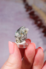Indicolite Tourmaline with Quartz | 22mm | Brazil Mineral Specimen Tali & Loz Crystals