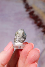 Indicolite Tourmaline with Quartz | 22mm | Brazil Mineral Specimen Tali & Loz Crystals