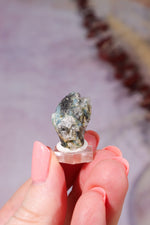 Indicolite Tourmaline with Quartz | 22mm | Brazil Mineral Specimen Tali & Loz Crystals