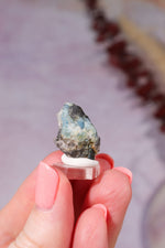 Indicolite Tourmaline with Quartz | 22mm | Brazil Mineral Specimen Tali & Loz Crystals
