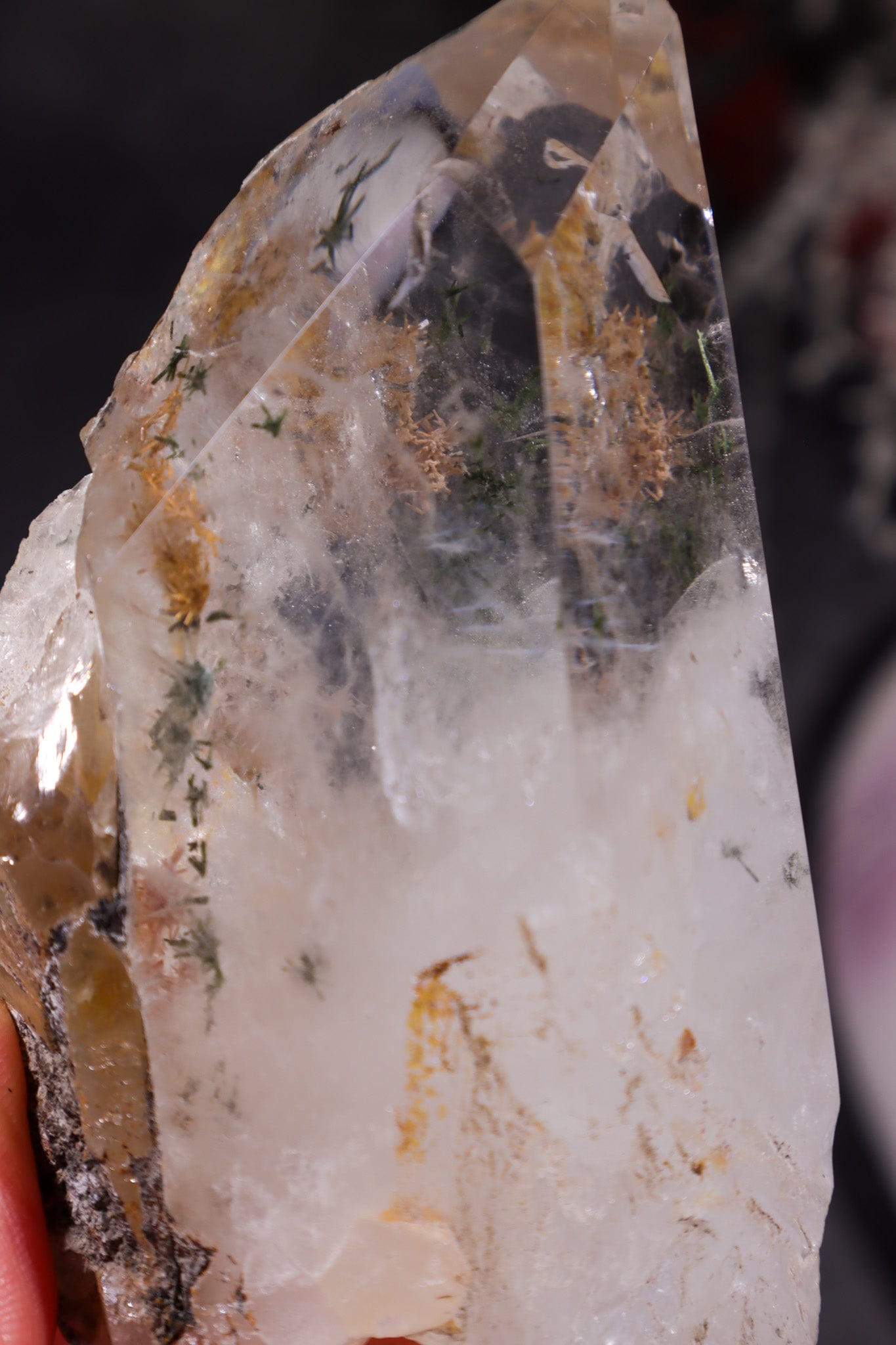 Indonesian Clear Quartz Point With Tourmaline Inclusions 9cm Points Tali & Loz Crystals