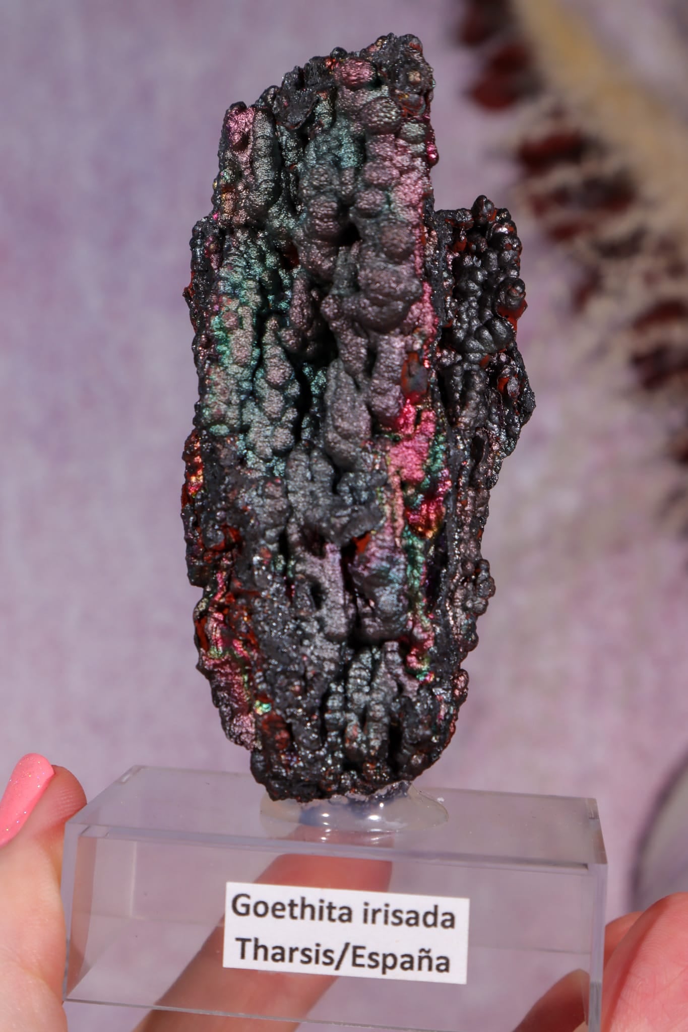 Iridescent Goethite | 59mm | Tharsis, Spain Minerals Tali & Loz Crystals