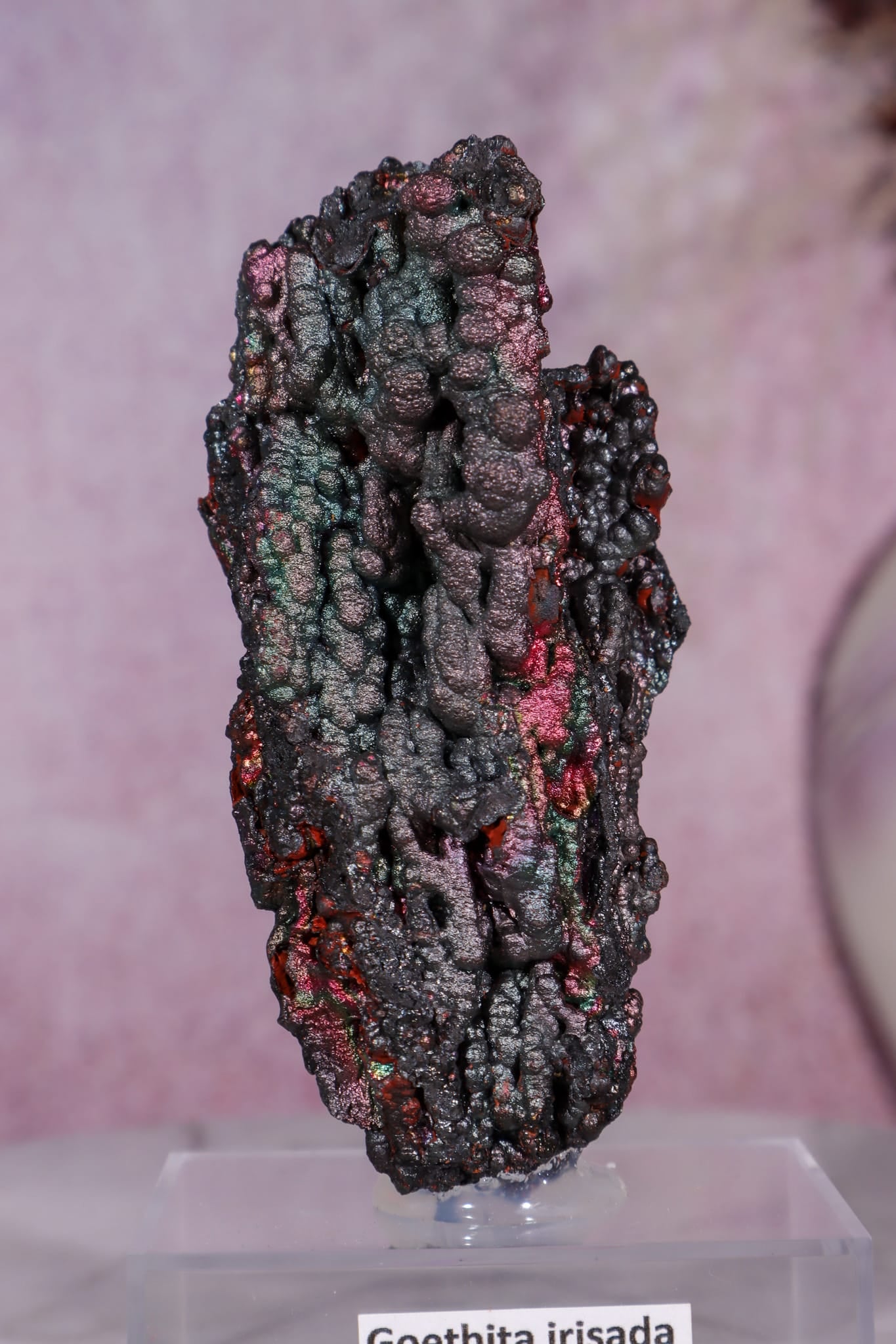 Iridescent Goethite | 59mm | Tharsis, Spain Minerals Tali & Loz Crystals