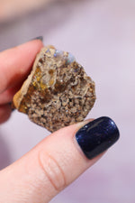 Iron Included Phantom Opal With Fern like Inclusions Minerals Tali & Loz Crystals