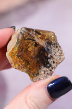 Iron Included Phantom Opal With Fern like Inclusions Minerals Tali & Loz Crystals