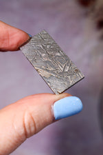 Iron Meteorite 9.3gr, Aletai, Sold As Seen Meteorite Tali & Loz Crystals
