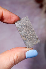 Iron Meteorite 9.3gr, Aletai, Sold As Seen Meteorite Tali & Loz Crystals