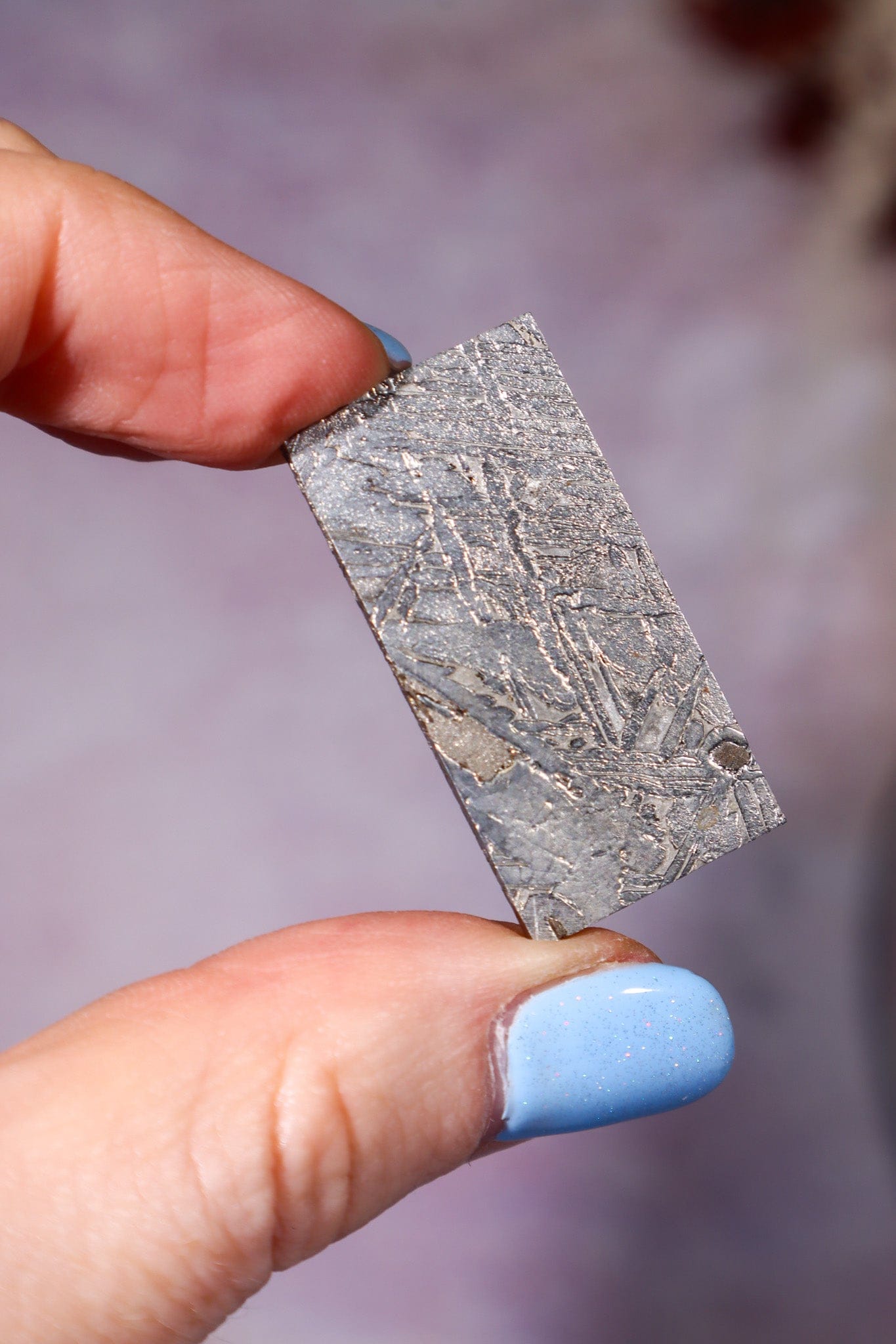 Iron Meteorite 9.3gr, Aletai, Sold As Seen Meteorite Tali & Loz Crystals