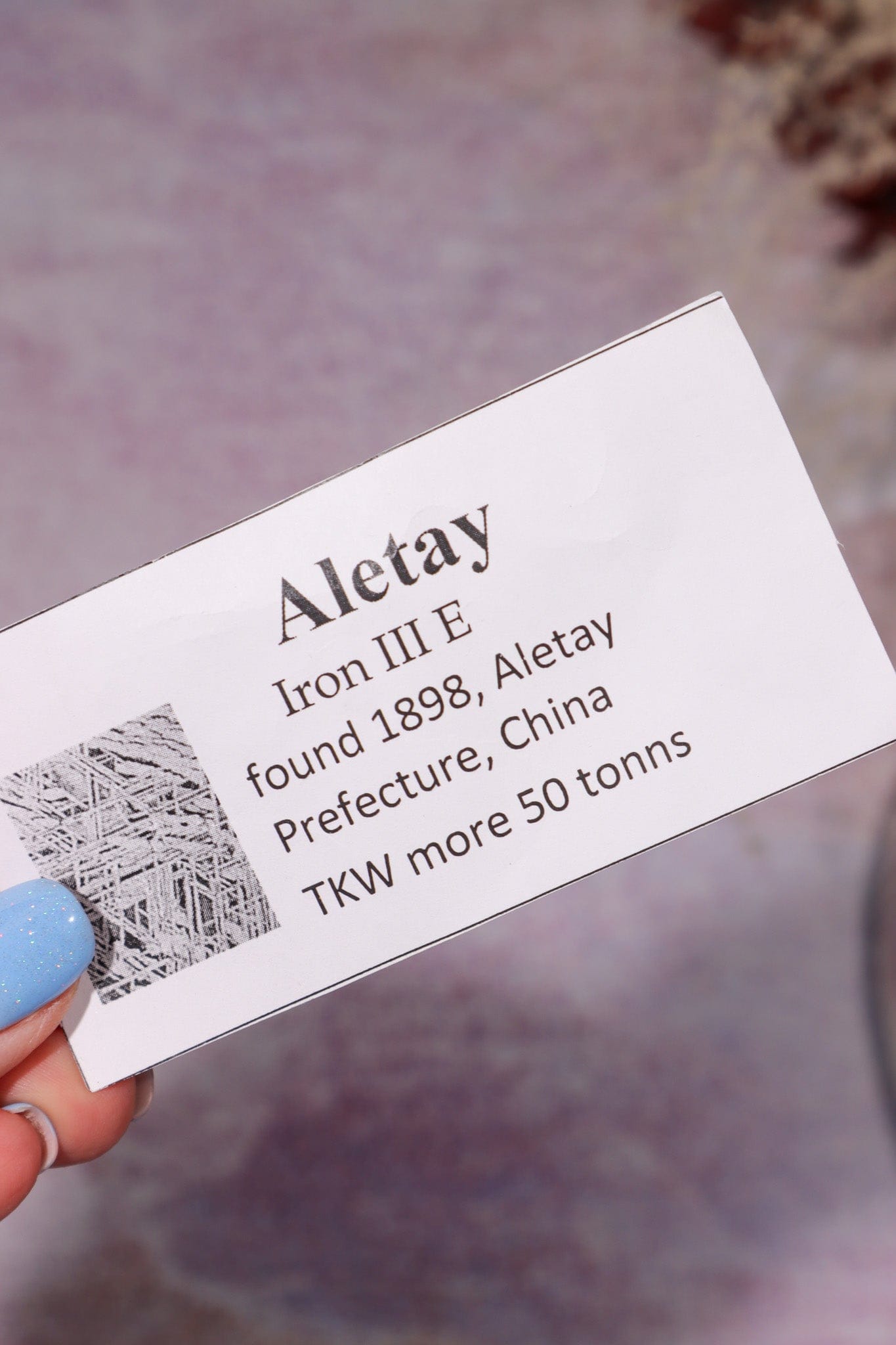 Iron Meteorite 9.3gr, Aletai, Sold As Seen Meteorite Tali & Loz Crystals