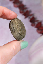 Kansas Pop Rocks 2cm, Kansas USA Minerals Tali & Loz Crystals