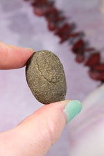 Kansas Pop Rocks 2cm, Kansas USA Minerals Tali & Loz Crystals