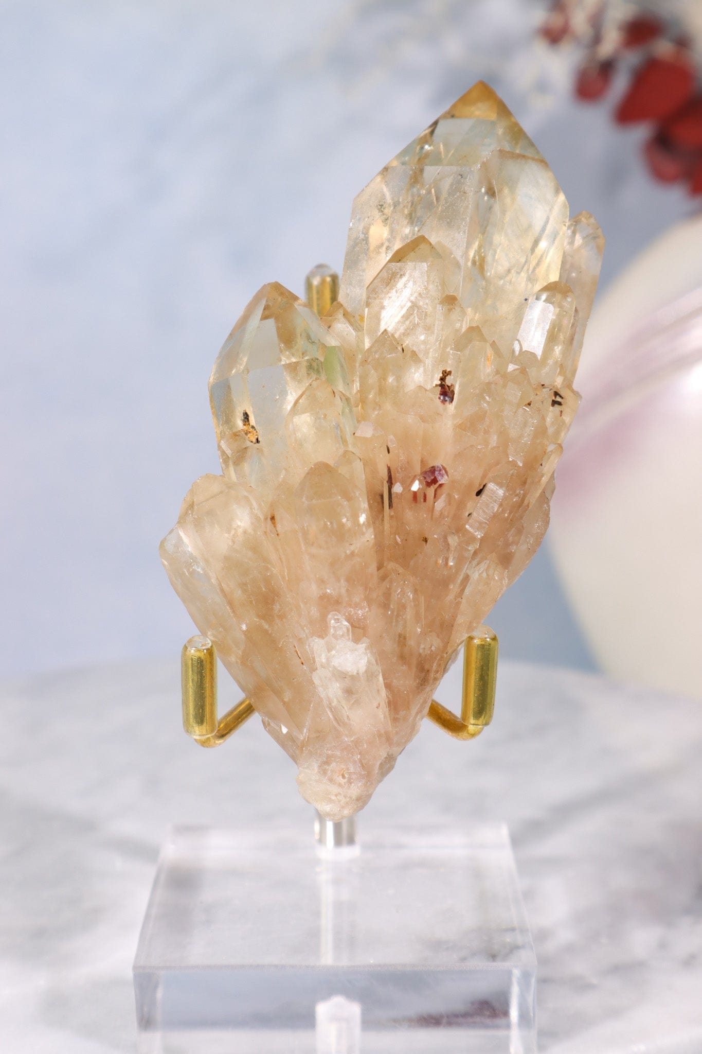 Kundalini Citrine Specimen 9cm Specimen Tali & Loz Crystals